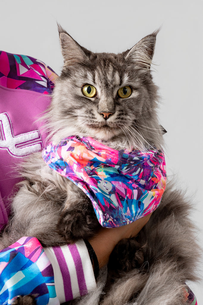 lelosi lelopet bandana alasie 0